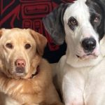 Group logo of Marketing & Systems Group